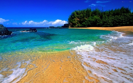 Summer Beach - landscape, trees, clouds, water, sea