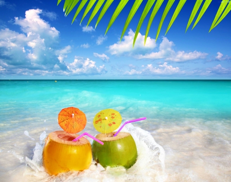 Summer Snacks - water, palm, sea, fruit