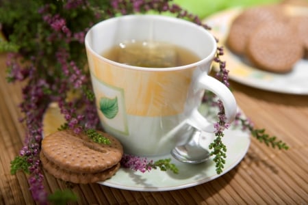 Tea and biscuits