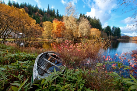 Autumn Lake With Flowers - trees, blue sky, forest, clouds, beautiful, flowers, house, scotland, boat