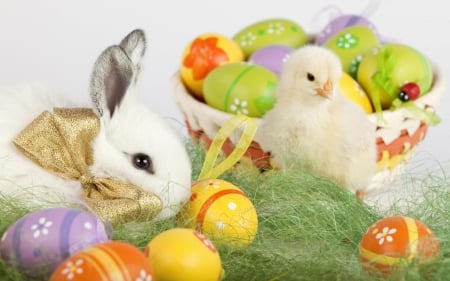 Easter Bunny and Chick - eggs, rabbit, Easter eggs, ladybug, chick, bunny, Easter, basket, ribbon, bow