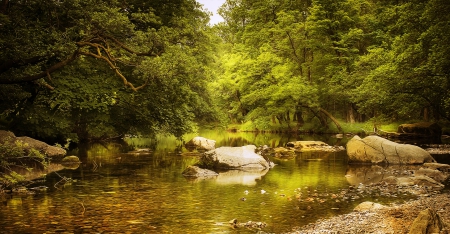 Peaceful Morning On The River - trees, forest, river, beautiful, green, stones