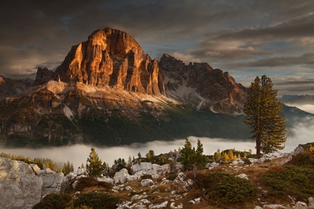 Mountain Sunset - trees, sunset, fog, beautiful, grass, forest, dark clouds, mountain