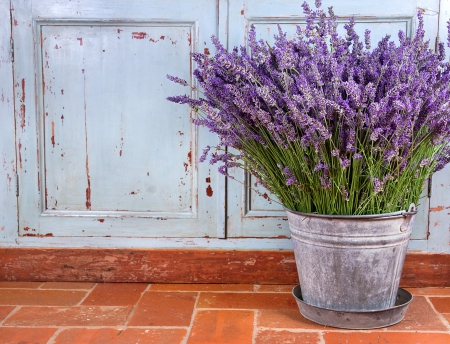 Lavender - nature, purple, bucket, spring time, flowers, still life, lavender, spring