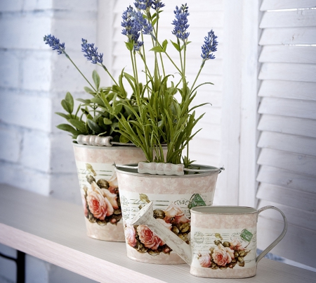 Lavender - flowers, lavender, still life, nature