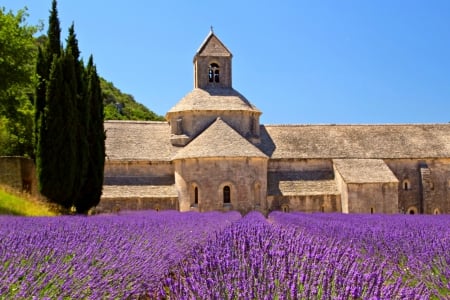 Lavender Field - landscape, purple flowers, flowers, spring, sky, splendor, field, lavender, nature