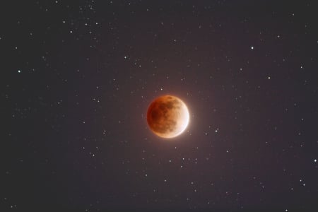 The Blood Moon in the Night Sky - moon, blood, night, time