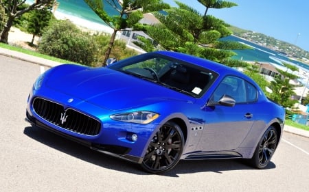 Blue Maserati - maserati, car, blue, beautiful, palm trees