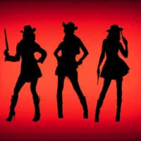 Cowgirl Silhouettes