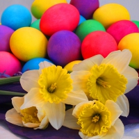 Easter Eggs and Daffodils