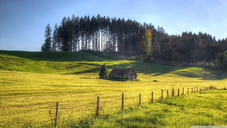 Hut - fields, hut, landscape, hills, pine, wallpaper, spring, nature, hd, forest, scene