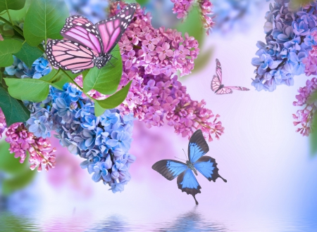 Simply Beautiful - flowers, water, nature, butterflies, lilac, lilacs