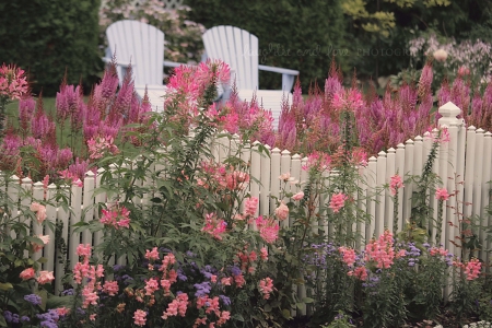 PINK AND WHITE SUMMER - white, fence, chair, pink, flowers, chairs