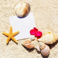 â™¥Starfishes & Shellsâ™¥