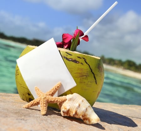 â™¥Summer Vacationâ™¥ - vacation, beach, drink, summer, tropical