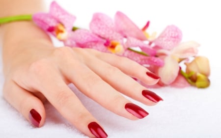 Red nails - flowers, hand, woman, red, nails