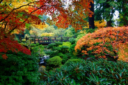 Japanese Garden - green foliage, trees, beautiful, flowers, red autumn, garden, bridge, yellow leaves