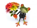 ♥Funny 3D Frog♥