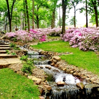 Spring Garden Landscaping-Time for Relax