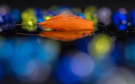 ♥ - abstract, bokeh, yellow, blue, feather, orange