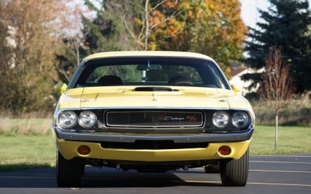 1970 Dodge Challenger - fun, challenger, cars, dodge, cool