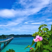 Bridge over the sea of Japan