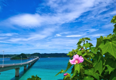 Bridge over the sea of Japan - flower, bridge, sea, blue, green