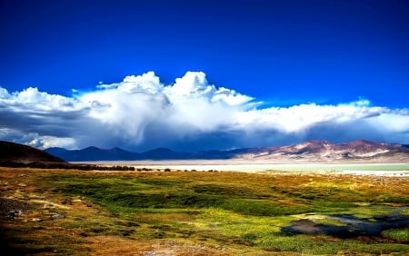 Salar Del Huasco National Park