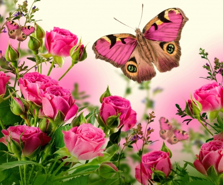 Flowers and butterfly - butterfly, flowers, pink, red