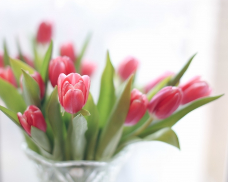 Tulips - home style, red tulips, flowers, bouquet, still life, vase