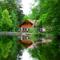 Restaurant near forest lake