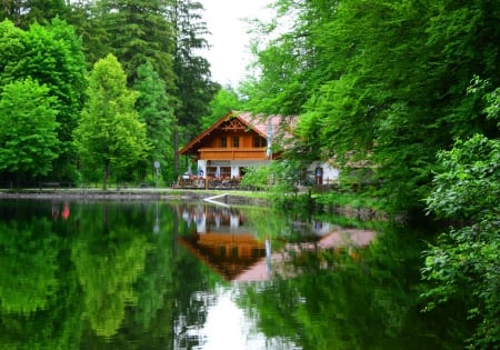 Restaurant near forest lake - greenery, relax, house, trees, summer, mirrored, grass, forest, rest, nature, lake, restaurant