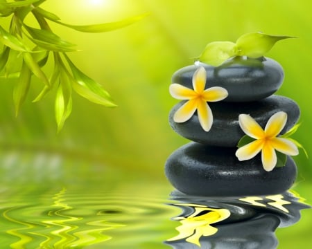 Spa - flowers, reflection, green, spa