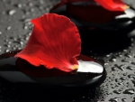 Red petals