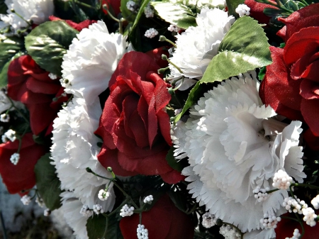 spring freshness - flowers, white, red, carnations, petals