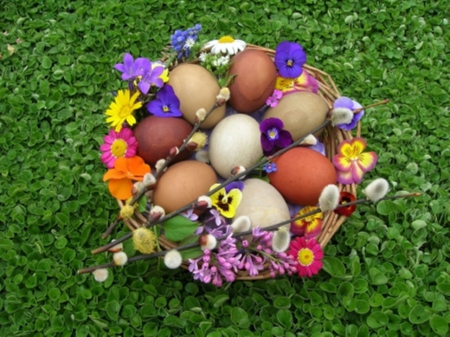 Easter basket - eggs, photography, easter, basket, still life