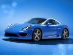 Porsche Cayman Moncenisio 2014