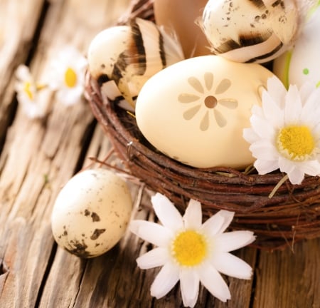 â™¥Easter Timeâ™¥ - eggs, camomile, easter, flowers, basket