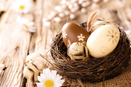 â™¥Easterâ™¥ - wood, eggs, nest, camomile, easter, flowers