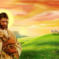 Good shepherd