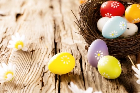 ♥Easter♥ - eggs, flowers, easter, camomile, nest, wood