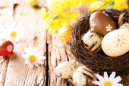 ♥Easter Eggs♥ - eggs, flowers, easter, camomile, nest, wood