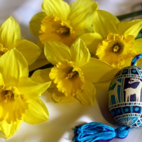 Spring Daffodils and Easter Egg