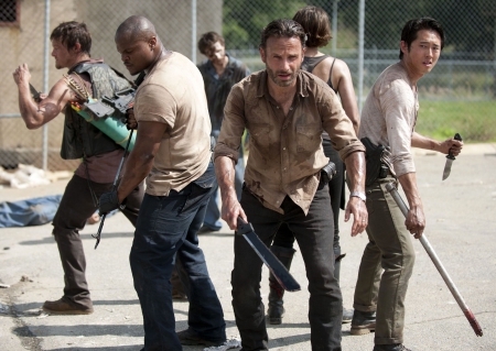 The Walking Dead - tv, horror, survival, zombies