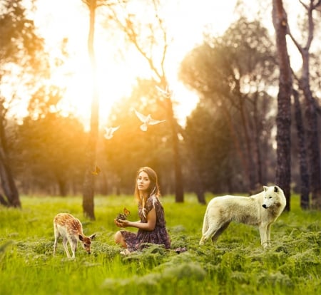 :) - spring, wolf, forest, lady