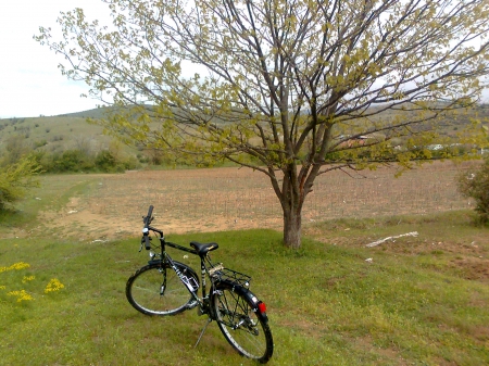 Bike and Spring time! - green field, open field, bike, spring