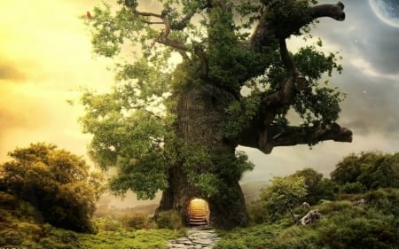 Enchanted tree - fantasy, door, tree, enchnated