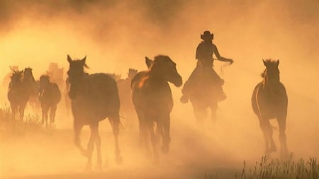 Riding With The Horses - horses, dust, cowgirl, hat