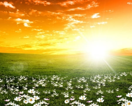 Yellow glow - sunshine, field, nature, sky