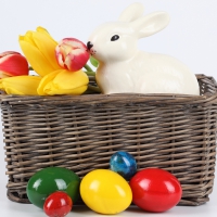 The Easter bunny